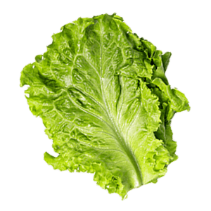 lettuce.png